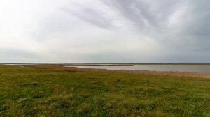 Озеро Маныч - Гудило