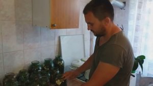 соленые огурцы в банках как их бочки / очень вкусные квашеные в банке огурцы