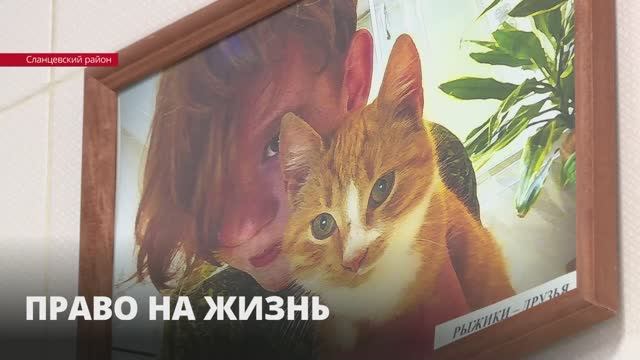 В Ленинградской детской областной больнице открылась выставка юного фотографа-пациента из Сланцев