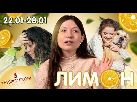 Креатив чүп савыты / Укытучыларны лайклар куярга мәҗбүр итәләр / ЛИМОН / Прятки с полицией