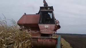 уборка кукурузы на НИВА СК 5