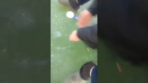 Рыбалка по первому льду, ловля судака, убойная рыбалка