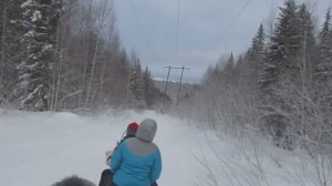 Катание на снегоходе Динго Т 150 с санями