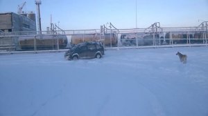 DELICA в снегу