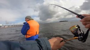 Клевая рыбалка на Финском заливе 6.09.20  / Ловля судака на джиг