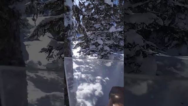 14 марта 2021 г. смотреть онлайн