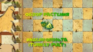 Обзор Дождевика (Puffball), растение из Plants vs Zombies 2