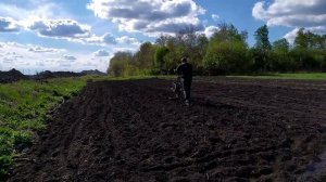 Посадили картошку, затем сеем фацелию. 07/05/2021