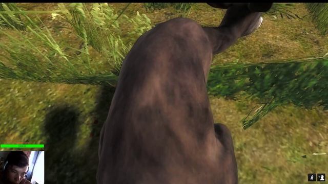 The hunter classic залетай поохотимся вместе смотреть онлайн