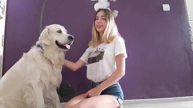 Плюсы и минусы породы 