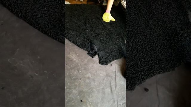 Как перешить и почистить шубу из меха каракуля. Видео(3)