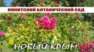 Новый Крым 2018 - Никитский ботанический сад #3