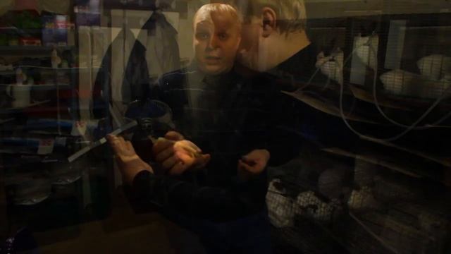 Кролиководство и кролики: Система поения! смотреть онлайн