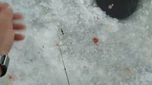 Рыбалка на Рузском водохранилище. Зима. Щербинки.