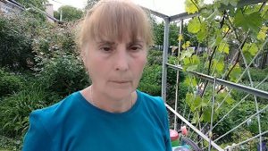 Розы. Борьба с вредителями. Трипсы, клещи и малинная муха - любительница роз.