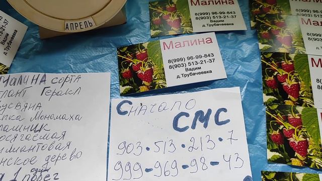 Как растёт Рассада 27 04 2021 Одинцово смотреть онлайн