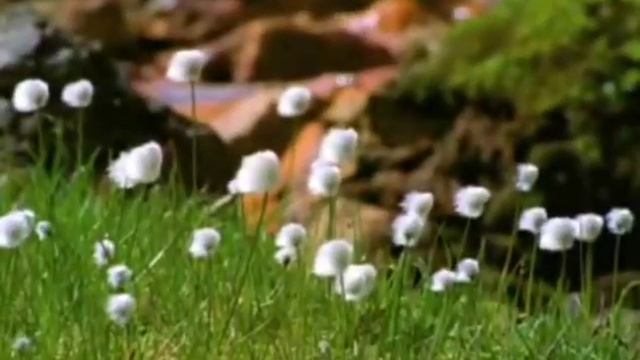 Совершенный Бог. смотреть онлайн