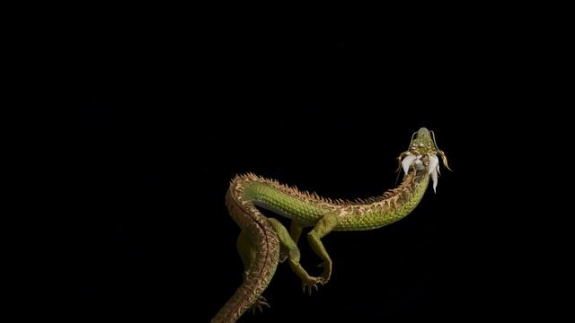 SHENRON [DRAGONS AND TYANS NFT] (#Blender3d animation, Chinese Dragon Fly) смотреть онлайн