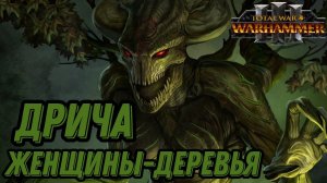 ДРИЧА и ее ДРИАДЫ