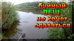 Буйный ЛЕЩ сопротивлялся до последнего, но не помогло. Ловля ЛЕЩА на удочку на Оке.