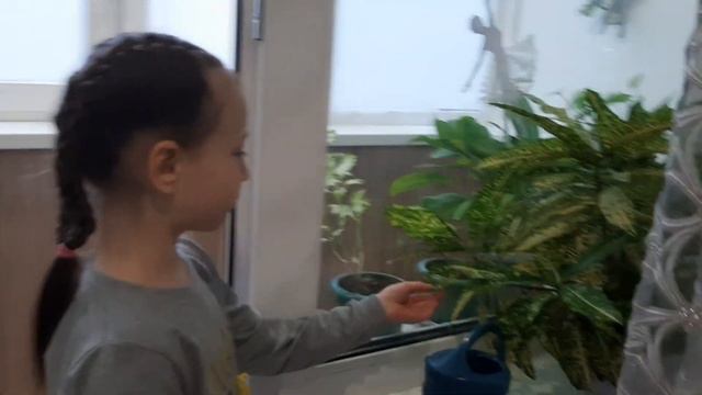 Помощь по дому. смотреть онлайн