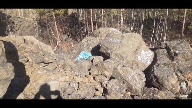 Месяц субботника на лисьем камне! #НижняяТура #Зольник