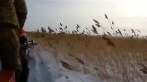 Cухое Лапоминка