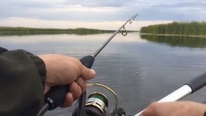 Казахстан Рыбалка на хищника, река калутон! Село ягодное
