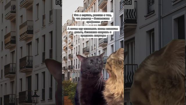 Когда мне говорят, что #риелтор бесполезная профессия ???