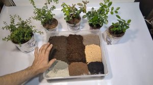 Грунт для экзотических растений. Аналог Lechuza Terrapon  своими руками.