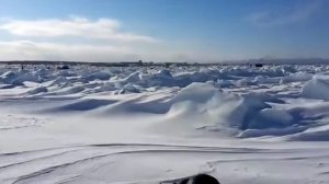 .сахалин.Корюшка зубатка.