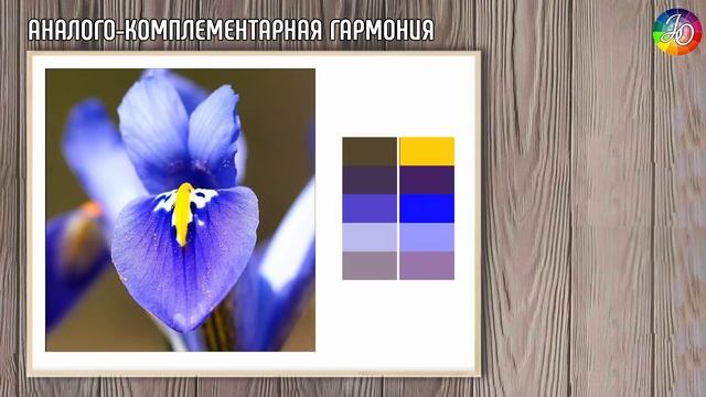Сочетание цветов. Цветовые схемы и их использование // Types of color schemes