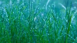 Полноценный отдых за 24 минуты