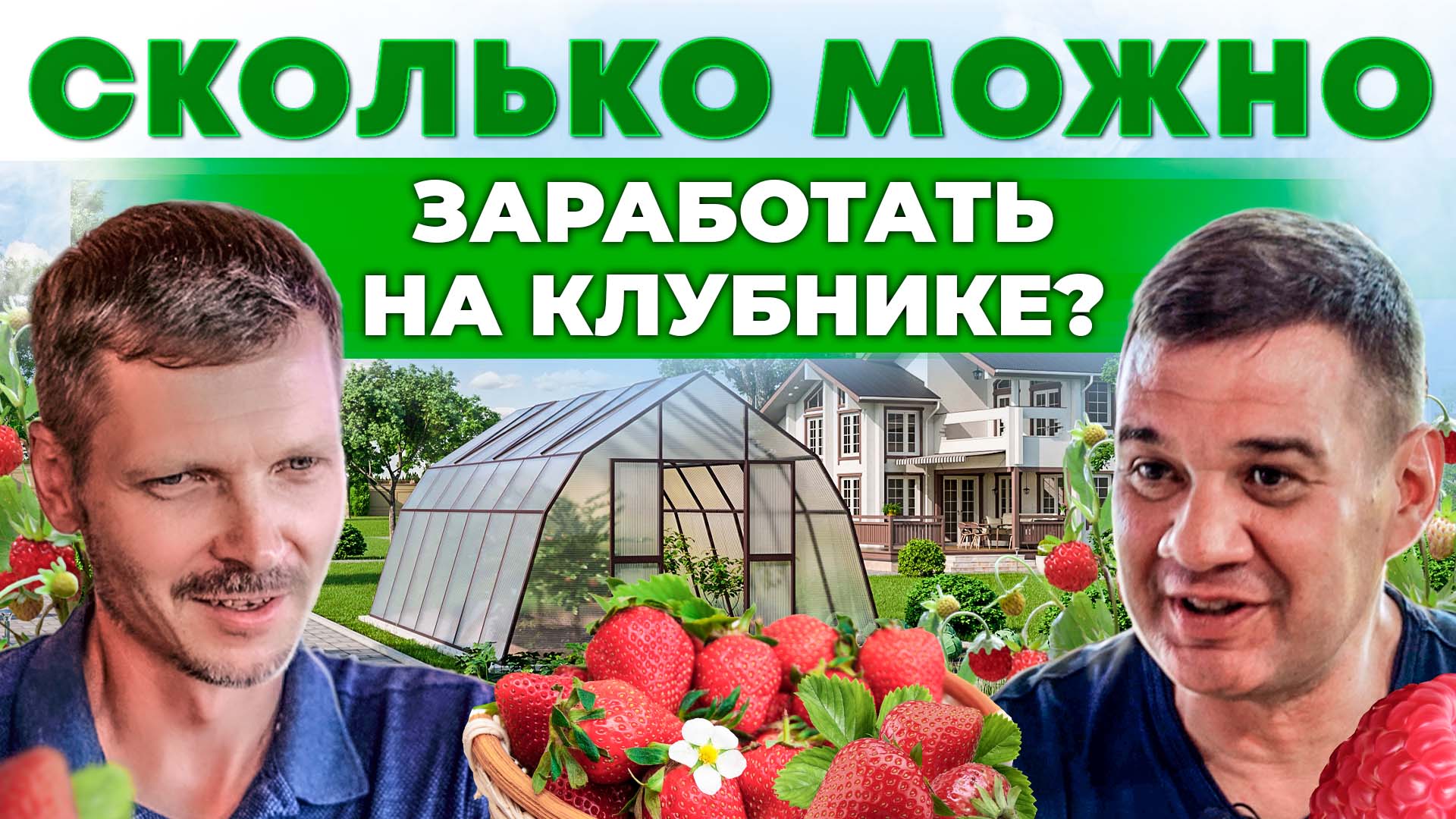 Миллионы на клубнике. Бизнес на ягодах. Как на этом заработать? Жимолость. Андрей Даниленко