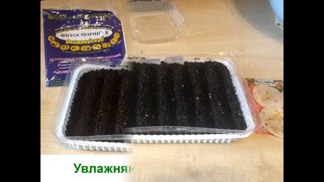 Инструкция посева перца на рассаду//ДачаУдача