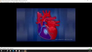 ВДОХ и кровь к ЛЁГКИМ. ВЫДОХ - кровь из ЛЁГКИХ!