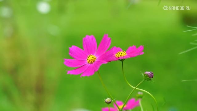 Топ 6 имен женщин с сильной энергетикой смотреть онлайн