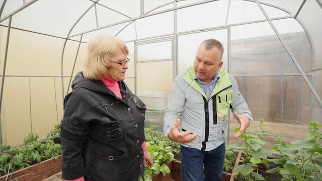 Дачный ревизор. БОРЕМСЯ с белокрылой на ОГУРЦАХ в теплице смотреть онлайн