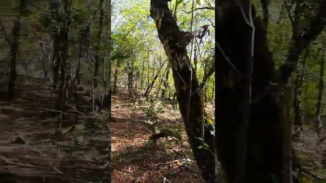 Осенний коп в горах. Quest X-5. смотреть онлайн