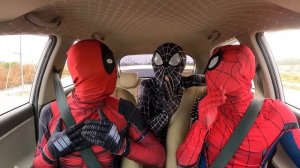 ALL SUPERHEROS Dancing In The Car | Spider-Man, Venom, Deadpool and Spider-Gwen