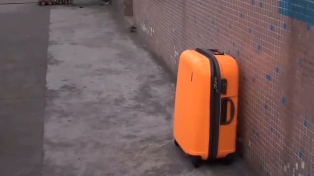 Неубиваемый чемодан Обзор