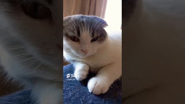 серьёзная девочка #любовьмоя