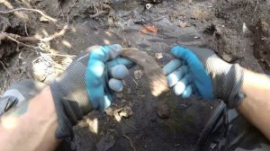 Находки в шурфе