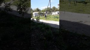 Собака кусает хозяина