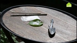 Увлажняем почву с помощью гидрогеля