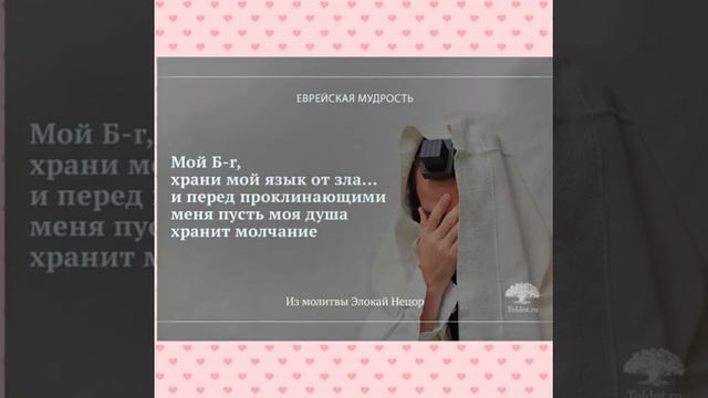 Сборник еврейской мудрости в картинках - 15 смотреть онлайн