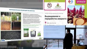 Преимущества биочара в земледелии