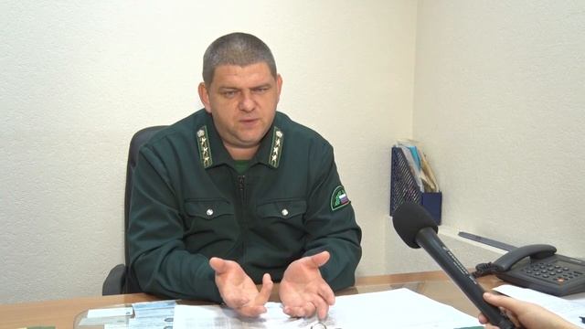 Закон ограничивает сбор дикоросов смотреть онлайн