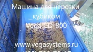 Машина для нарезки кубиком Vega CD-800.wmv