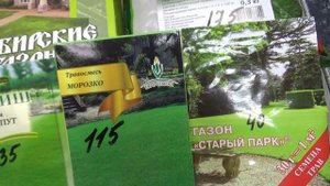 Газон,осенний посев.